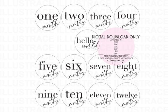 1-12 SVG Baby Milestones Disc